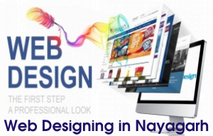 Best Web Designers in Visakhapatnam @3500Website